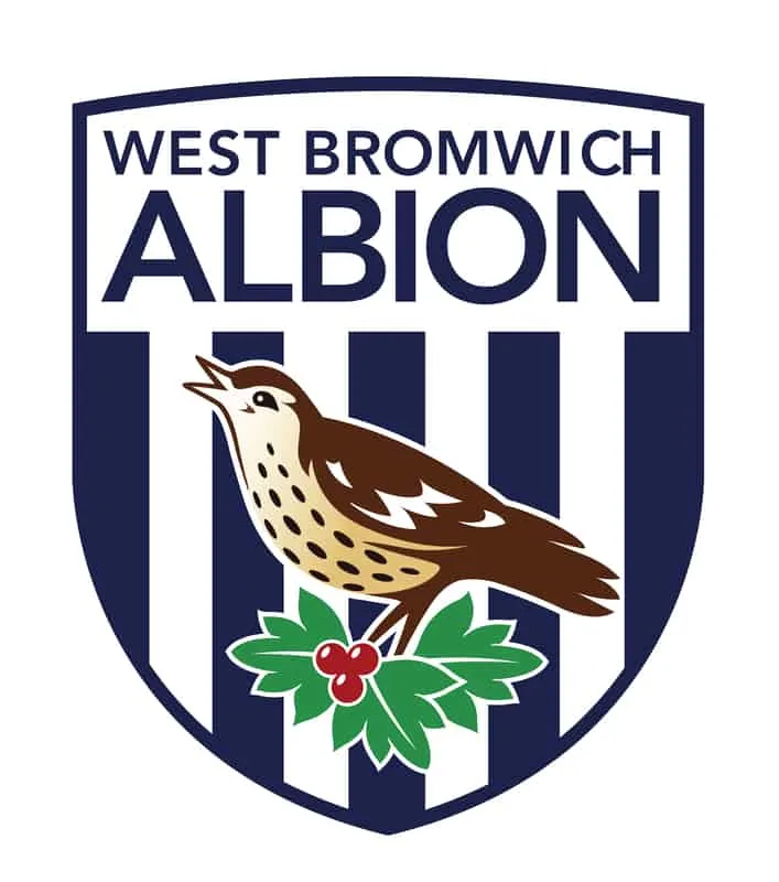 West Bromwich Albion FC: Player Salaries
